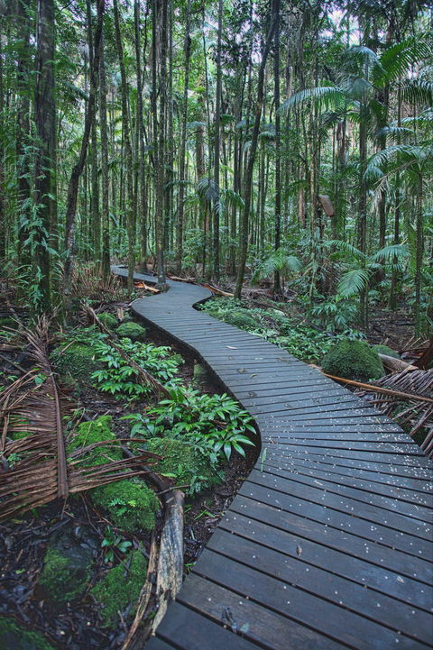 The Channon, Protesters Falls, Nimbin And Mount Nardi - Attractions Sydney 0
