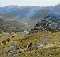Thredbo Mountain Biking - Attractions Sydney