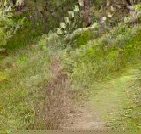Three Views walking track - Attractions Sydney