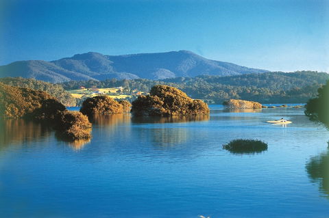 Wagonga Picnic Area - Attractions Sydney 0