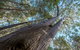 Wallumatta Nature Reserve - thumb 0