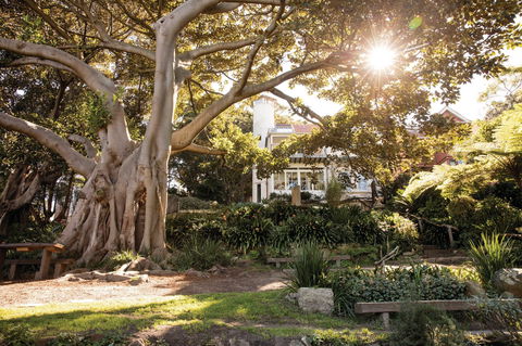Wendy Whiteley's Secret Garden - Attractions Sydney 0