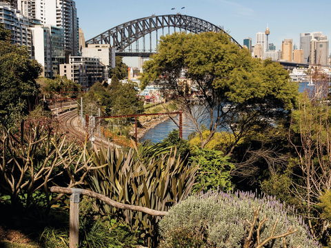 Wendy Whiteley's Secret Garden - Attractions Sydney 2