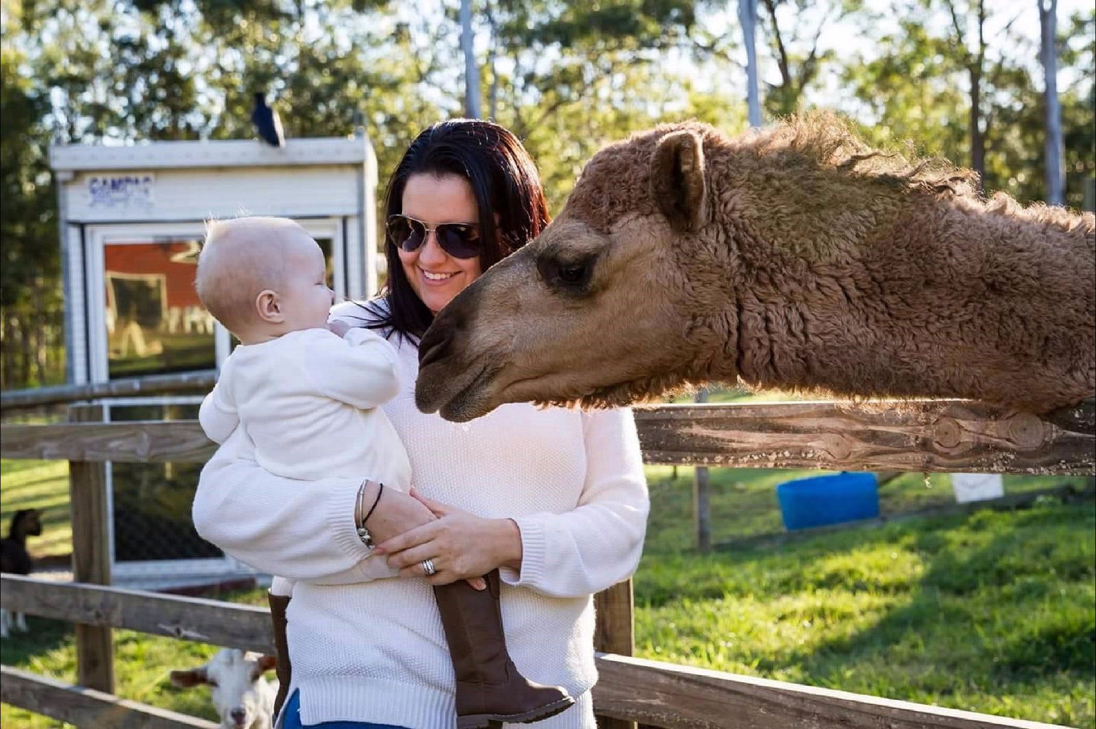 Elimbah QLD Attractions Sydney