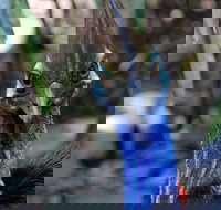 Wildlife Habitat - Attractions Sydney