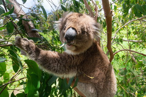 Wildlife Wonders - Attractions Sydney 1