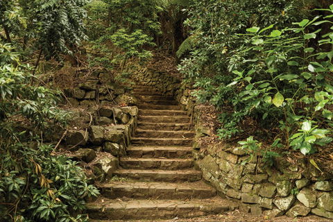 William Ricketts Sanctuary - Attractions Sydney 1