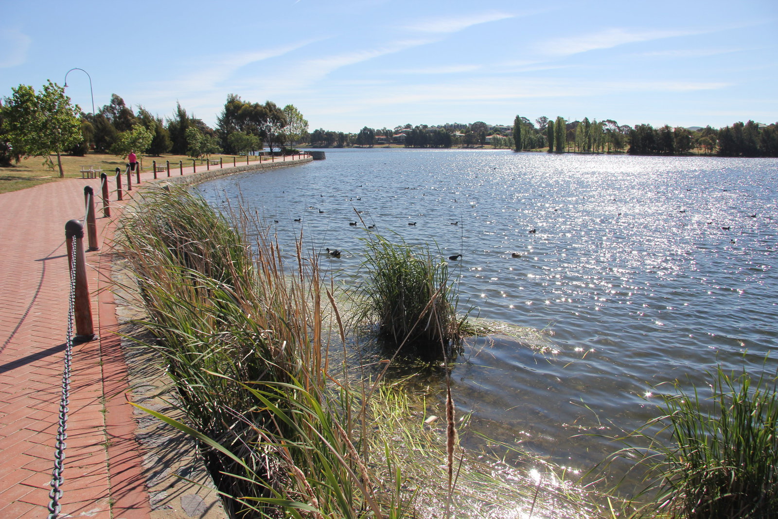 Amaroo ACT Attractions Sydney
