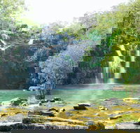 Airlie Beach to Cedar Creek Falls - Attractions Sydney