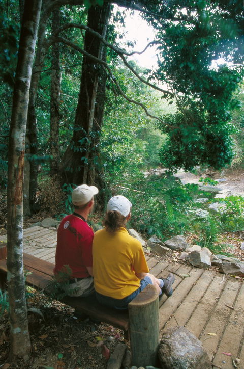 Airlie Beach To Cedar Creek Falls - Attractions Sydney 2