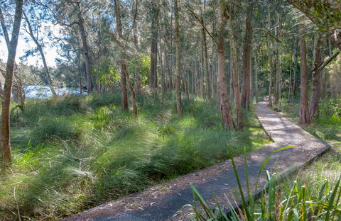 Anabranch Loop Track - Attractions Sydney 0