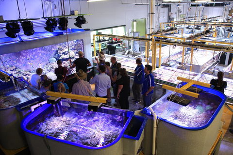 Australian Institute Of Marine Science - Attractions Sydney 0