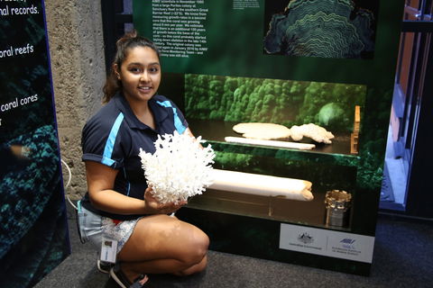 Australian Institute Of Marine Science - Attractions Sydney 2
