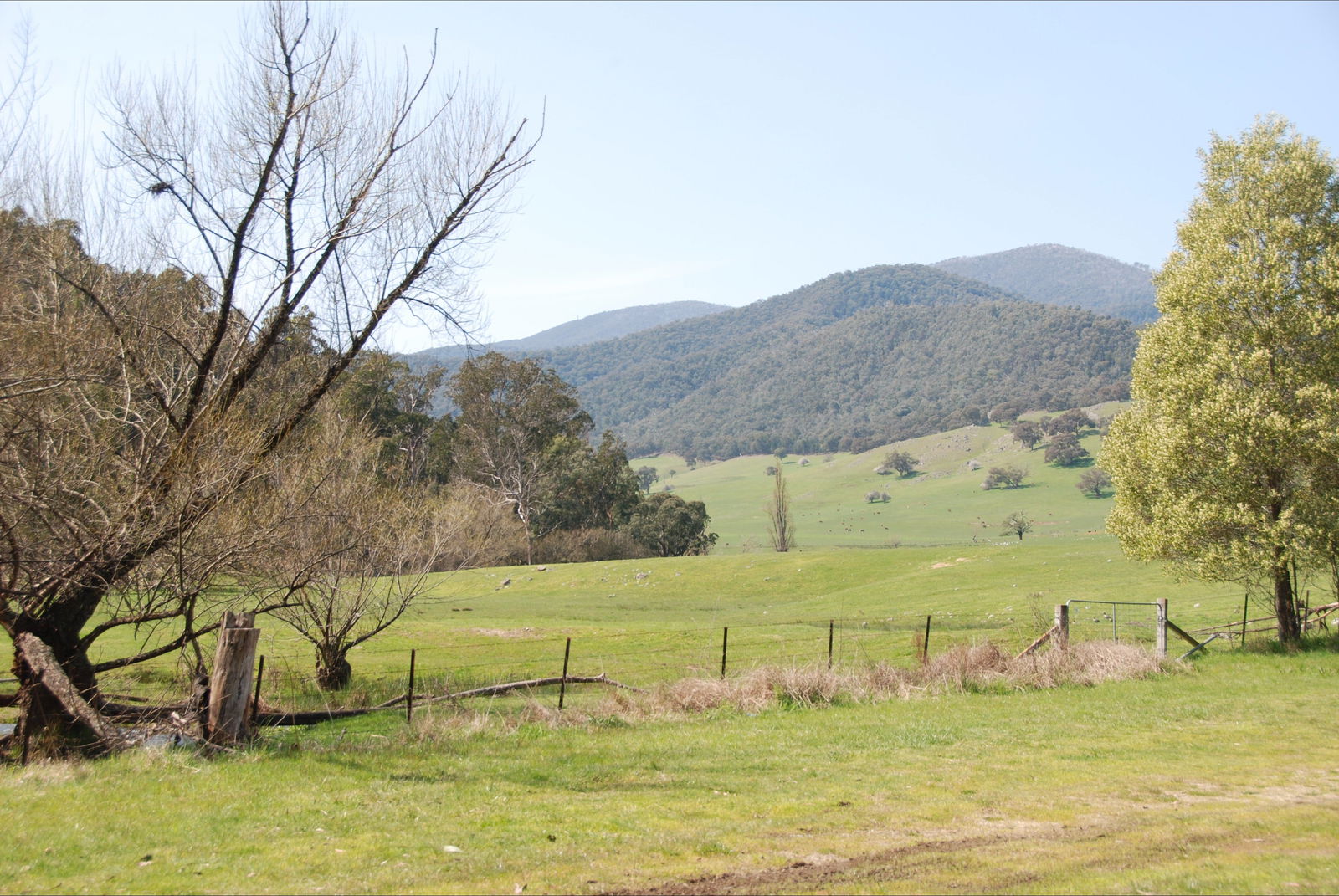 Dartmouth VIC Attractions Sydney
