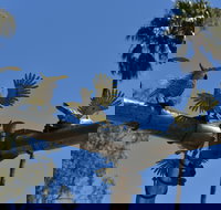 Bangerang Park - Attractions Sydney