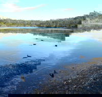 Berrara Creek - Attractions Sydney