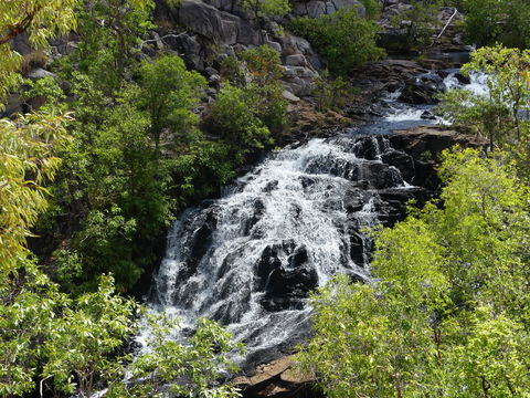 Biddlecombe Cascades - Attractions Sydney 1