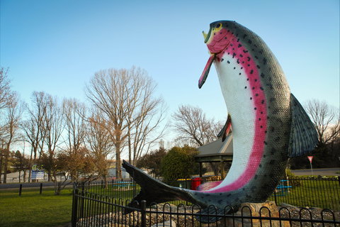 Big Trout - Attractions Sydney 0