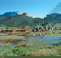 Biggenden - Attractions Sydney