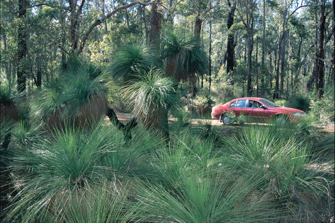 Blackwood River Tourist Drive - Attractions Sydney 2