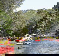 Bonville Creek - Attractions Sydney