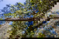 Bribie Island Bicentennial Trails