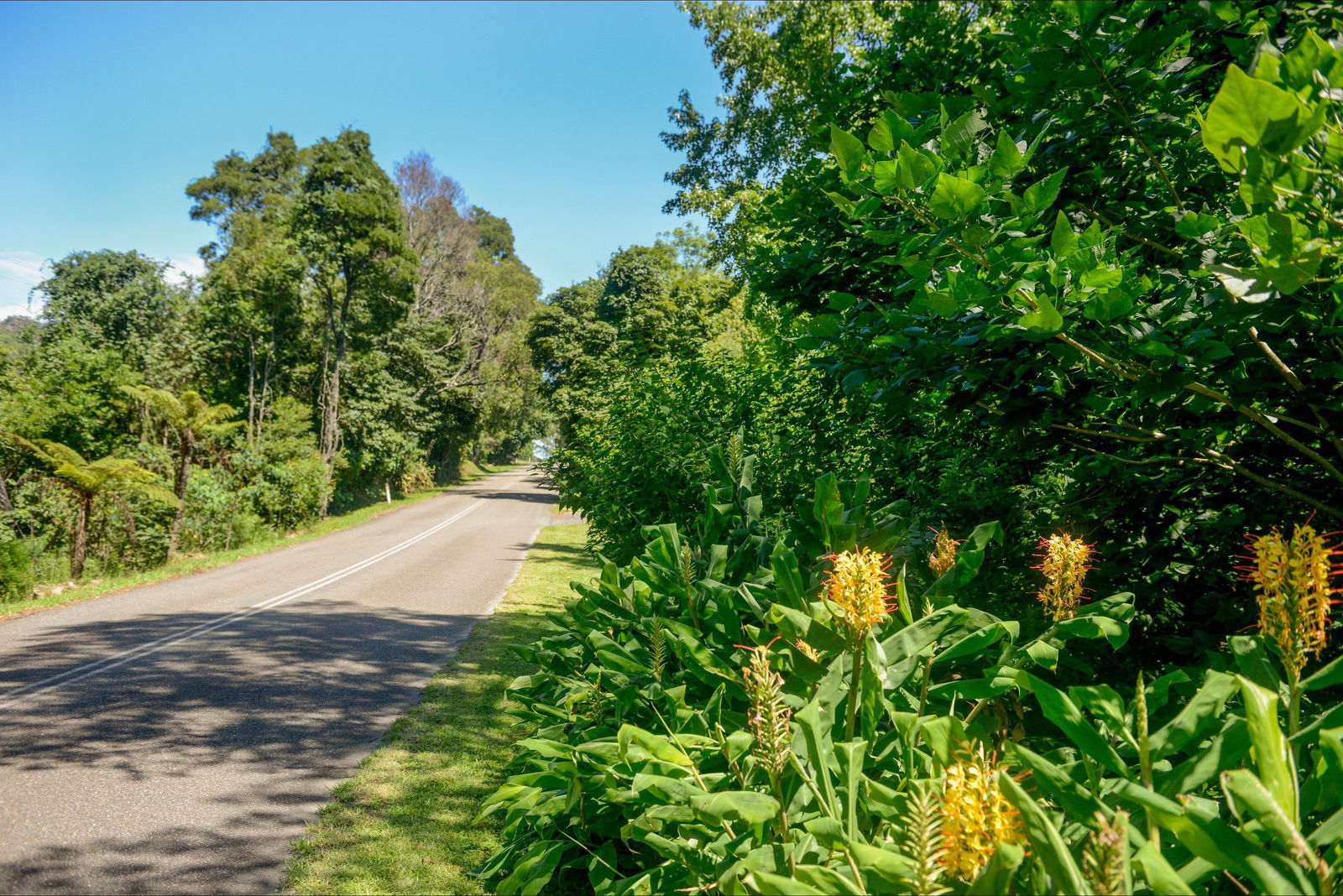 Broughton Vale NSW Attractions Sydney