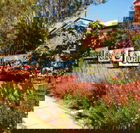Cactus Cafe and Gallery - Attractions Sydney