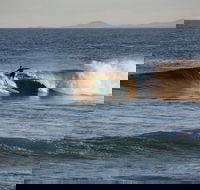 Coffs Coast State Park - Attractions Sydney