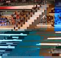 Dive Into History at Sydney Olympic Park Aquatic Centre - Attractions Sydney
