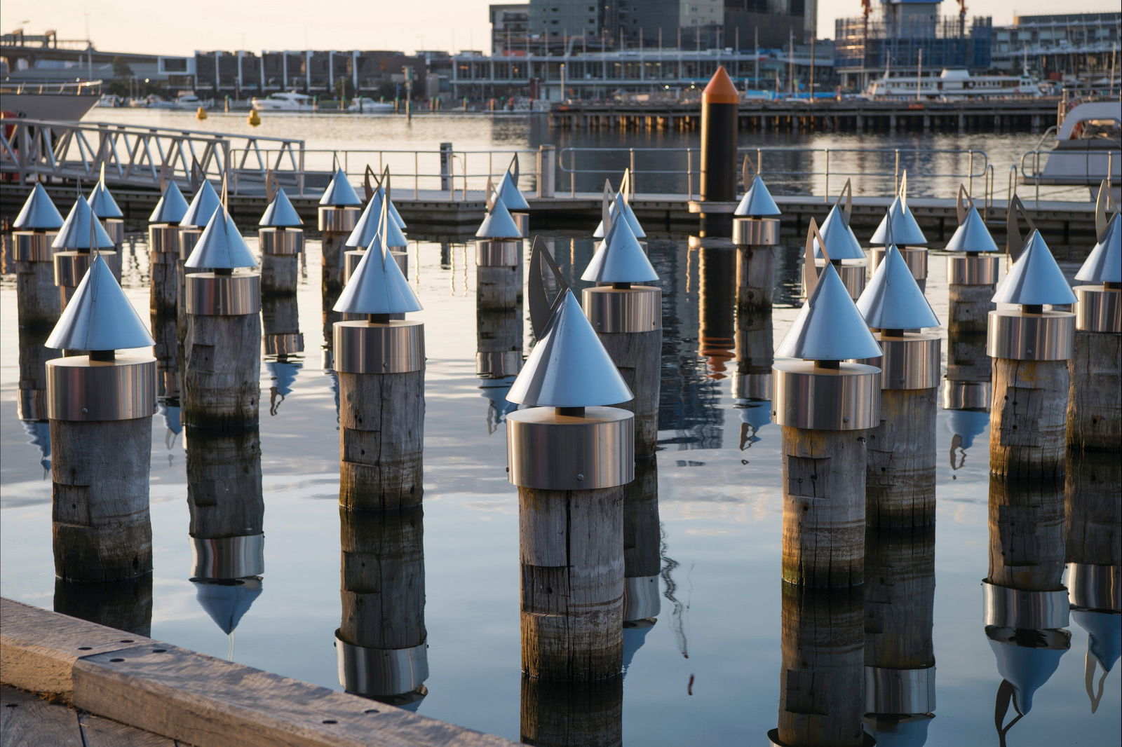  Attractions Sydney