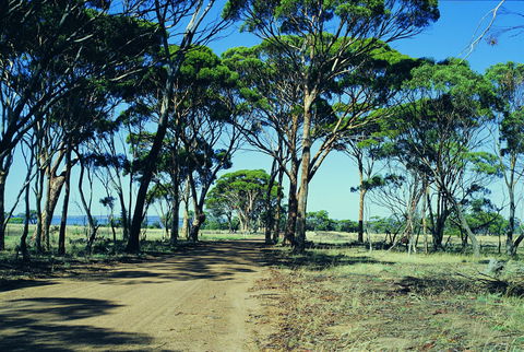 Dumbleyung - Attractions Sydney 0