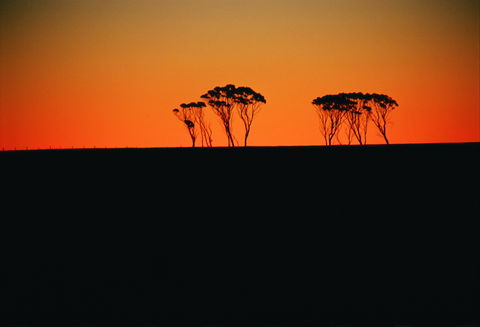 Dumbleyung - Attractions Sydney 1