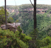 East Rim wildflower walking track - Attractions Sydney