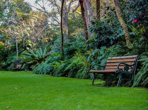 EG Waterhouse National Camellia Gardens - Attractions Sydney 0