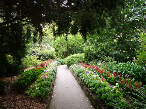 EG Waterhouse National Camellia Gardens - Attractions Sydney 1