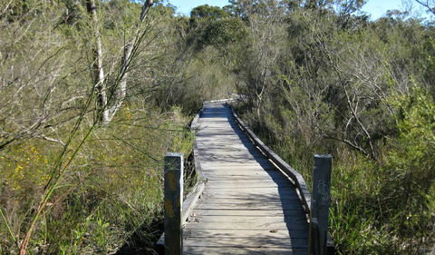 Falcon Crescent Link Track - Attractions Sydney 0