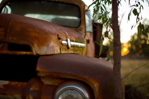 Gladstone Into The Hinterland - Attractions Sydney 0