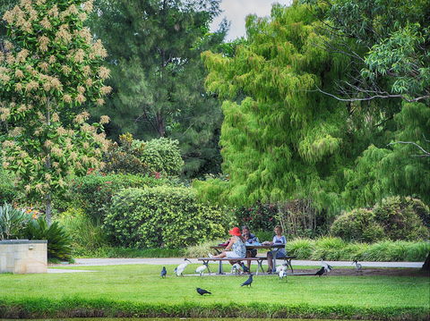 Gold Coast Regional Botanic Gardens - Attractions Sydney 2