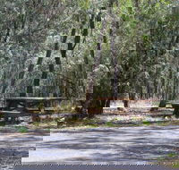 Goonoowigall State Conservation Area - Attractions Sydney
