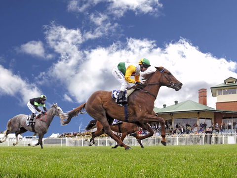 Goulburn And District Racing Club - Attractions Sydney 0