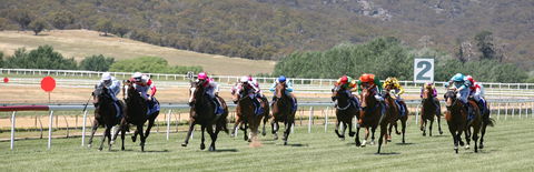 Goulburn And District Racing Club - Attractions Sydney 1