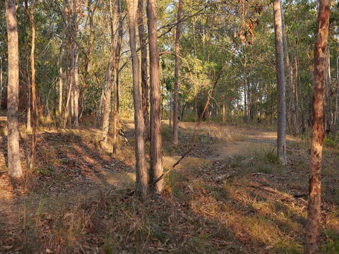 Grande Park - Attractions Sydney 2
