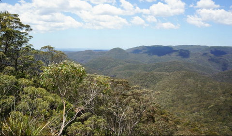 Greater Blue Mountains Drive - Attractions Sydney 0