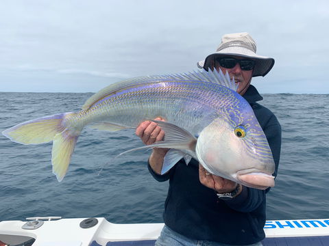 GT Fishing Charters - Attractions Sydney 1
