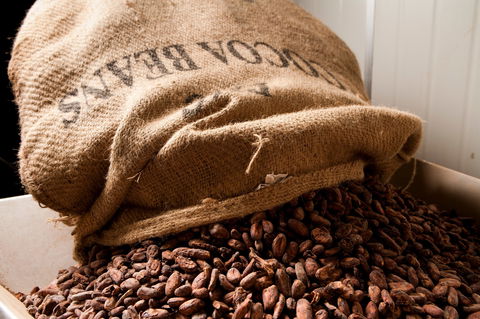 Haigh's Chocolates Visitor Centre - Attractions Sydney 2
