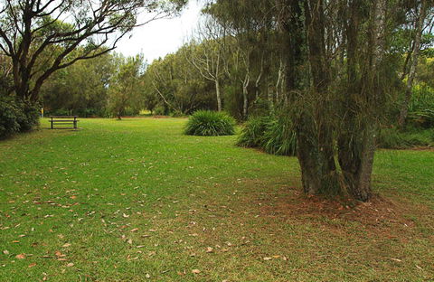 Hammerhead Point Picnic Area - Attractions Sydney 0