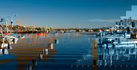 Iluka