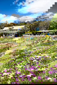 Kate's Berry Farm