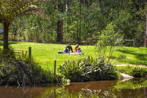 Kurth Kiln Regional Park - Attractions Sydney 1